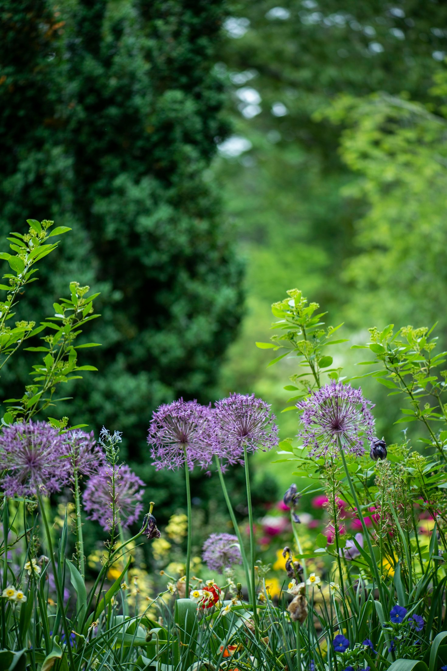 Blomsterskötsel: Säsongens viktigaste råd